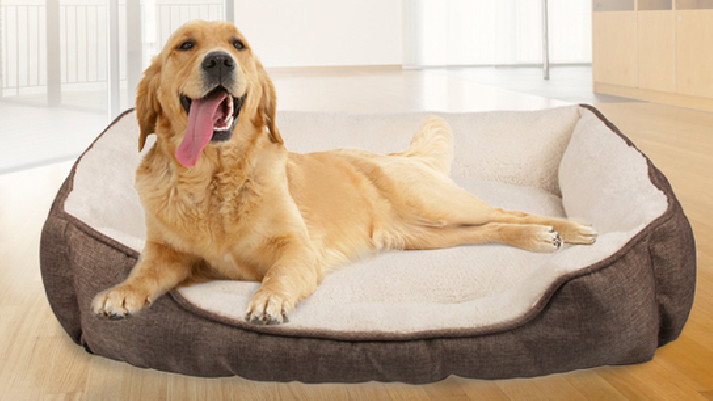 Laatste bedrijfscasus over Van de het Kussenluxe van het huisdierenbed Bed van de het Huisdierenhond het Moderne